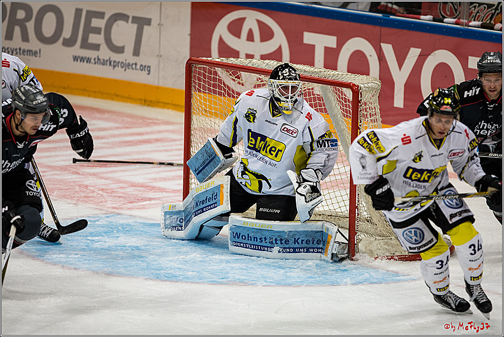 Koelner Haie - Krefeld Pinguine , 23.09.16(KW38)